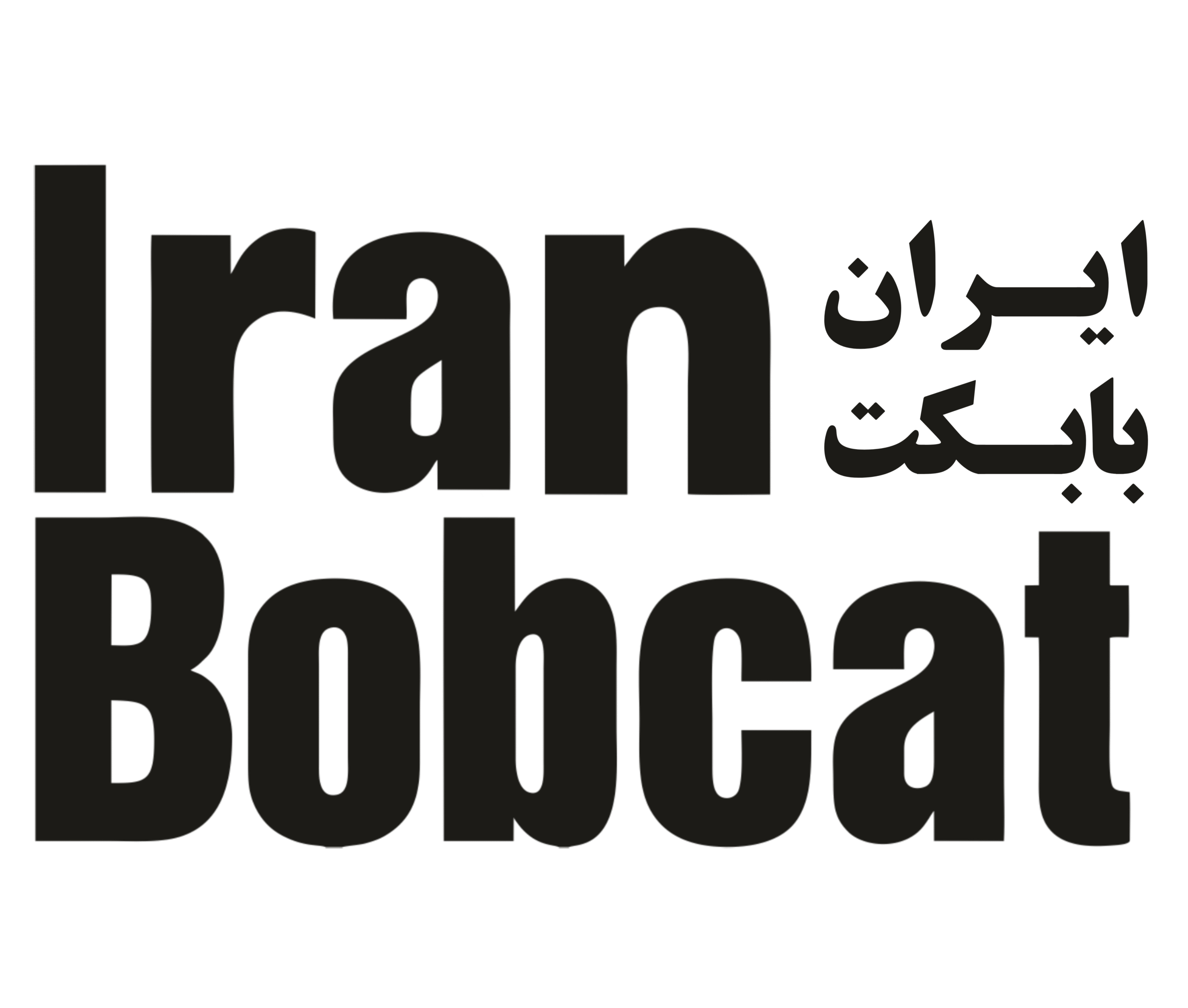 ایران سانی